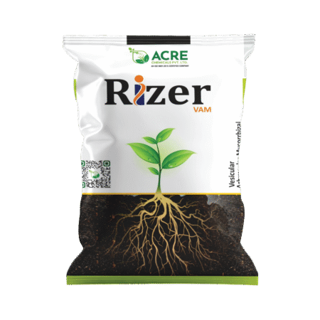 Vesicular Arbuscular Mycorrhizal